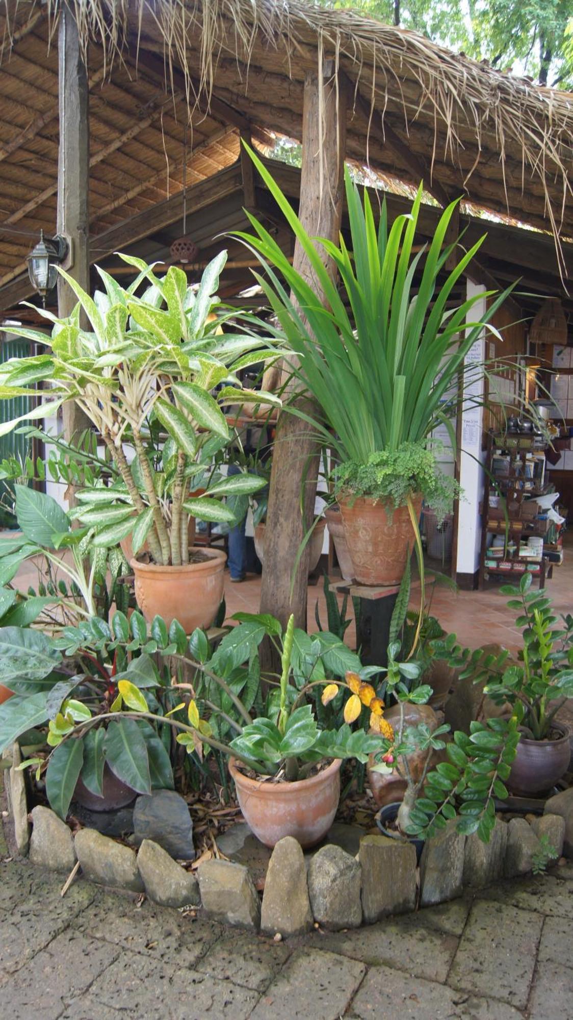 Mut Mee Garden Guest House Nong Khai Exterior photo