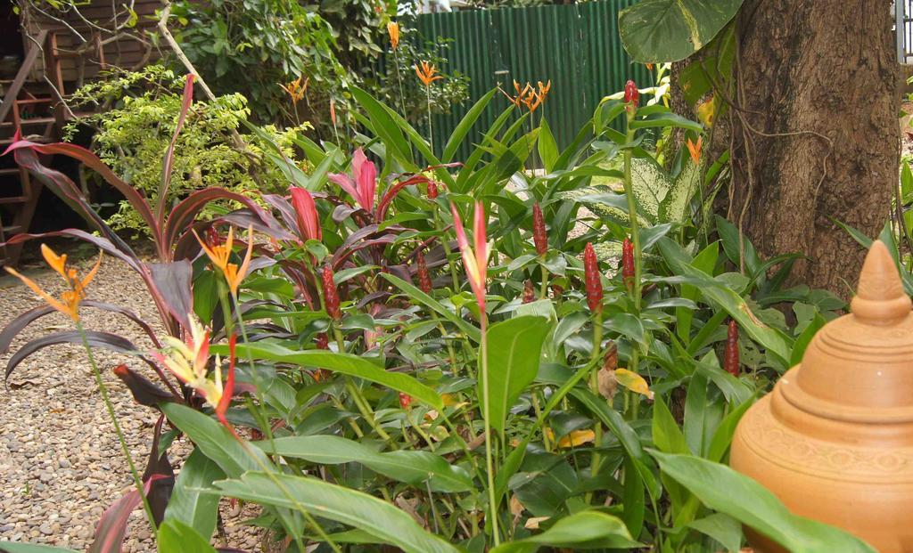 Mut Mee Garden Guest House Nong Khai Exterior photo